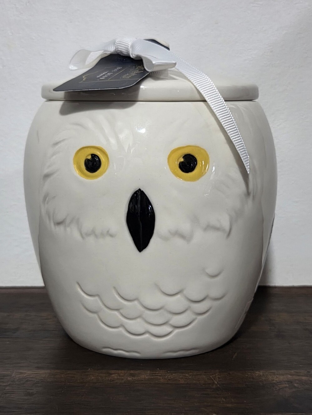 Rae Dunn X Harry Potter Small Canister